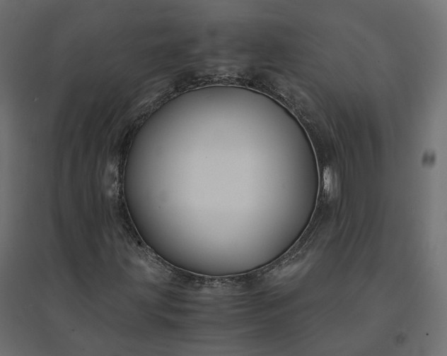 X0000094431203200711211425