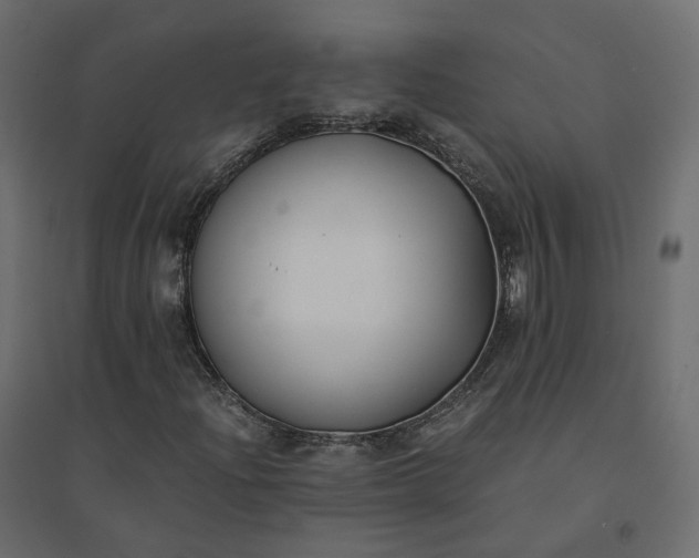 X0000094431204200711211425