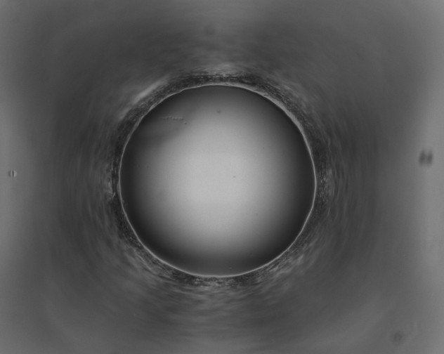 X0000094431205200711211425
