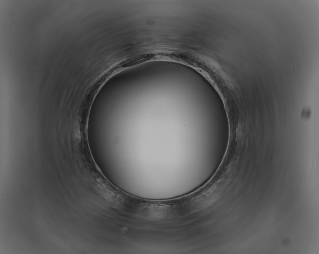 X0000094431209200711211425