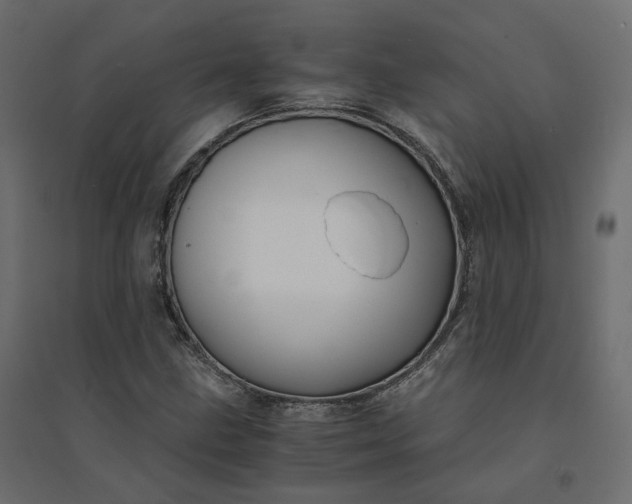 X0000094431211200711211425