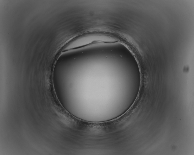 X0000094431217200711211425