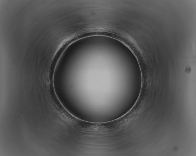 X0000094431218200711211425