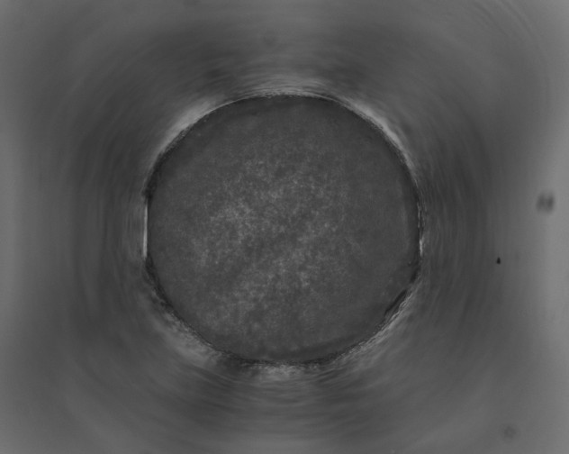 X0000094431219200711211425
