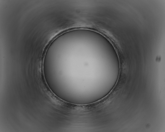 X0000094431220200711211425