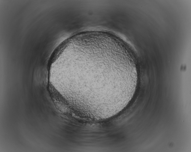 X0000094431221200711211425
