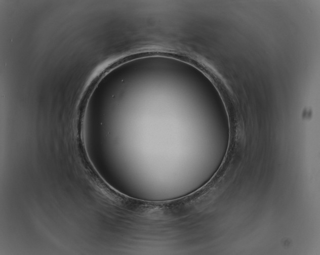 X0000094431222200711211425