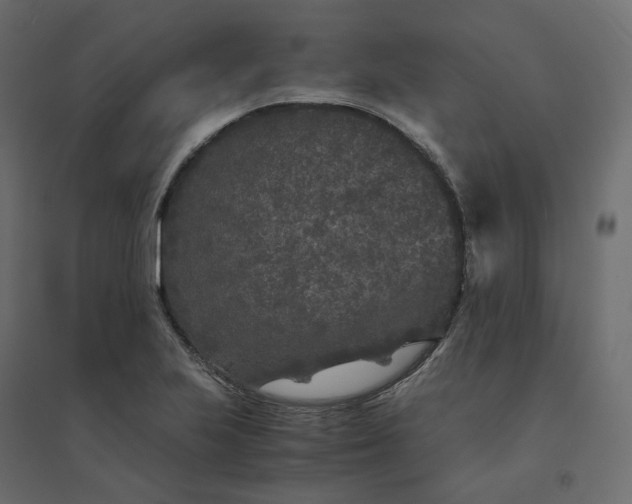 X0000094431223200711211425