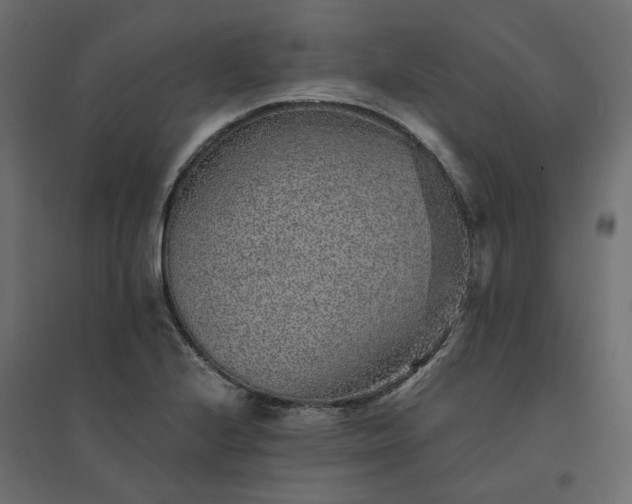 X0000094431224200711211425