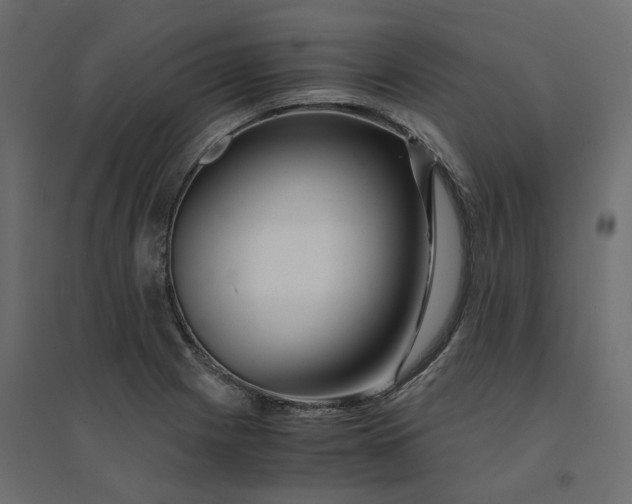 X0000094431225200711211425