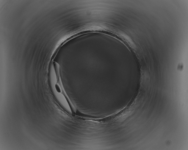 X0000094431226200711211425