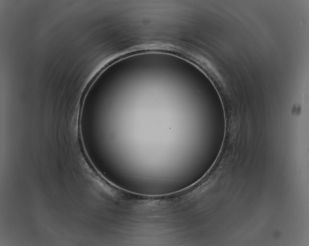 X0000094431228200711211425