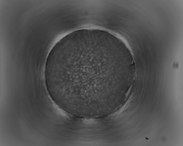 X0000094431231200711211425