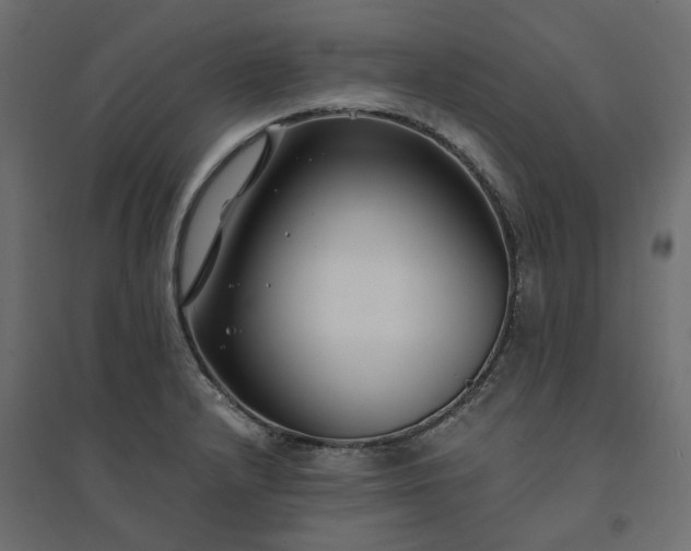 X0000094431232200711211425