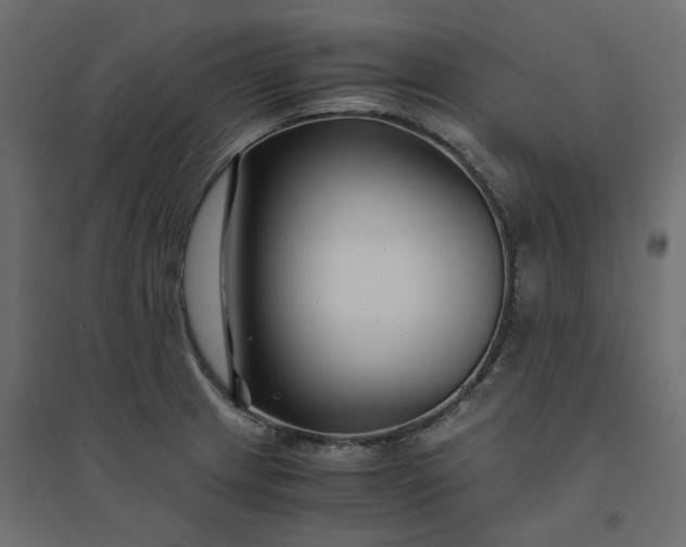 X0000094431233200711211425