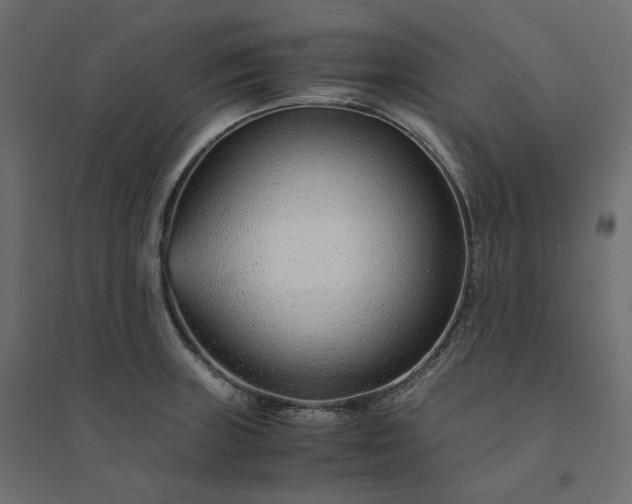 X0000094431235200711211425