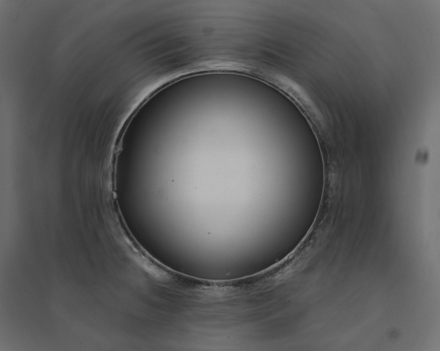 X0000094431236200711211425