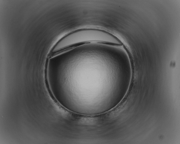 X0000094431237200711211425