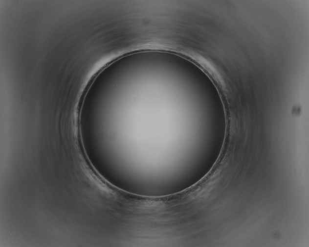 X0000094431238200711211425