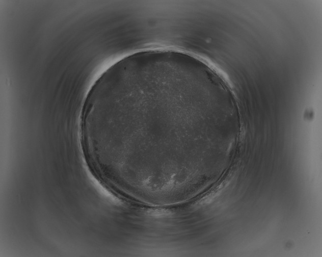 X0000094431239200711211425