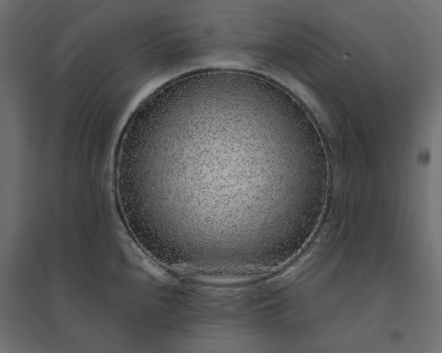 X0000094431240200711211425