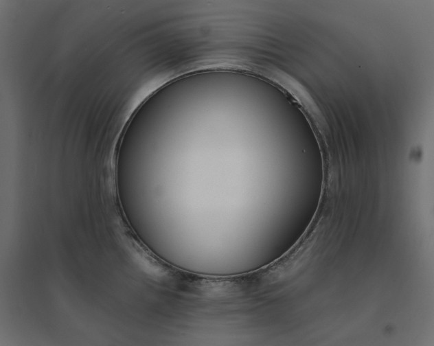 X0000094431242200711211426
