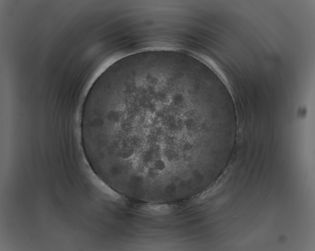 X0000094431243200711211426