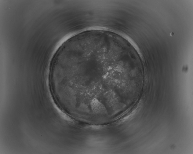 X0000094431245200711211426