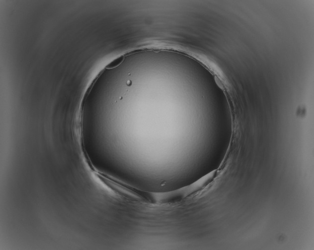 X0000094431247200711211426