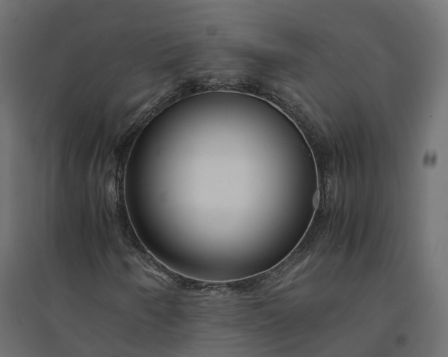 X0000094431250200711211425