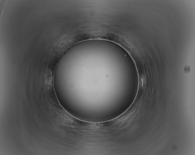 X0000094431251200711211425
