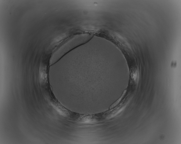 X0000094431252200711211425