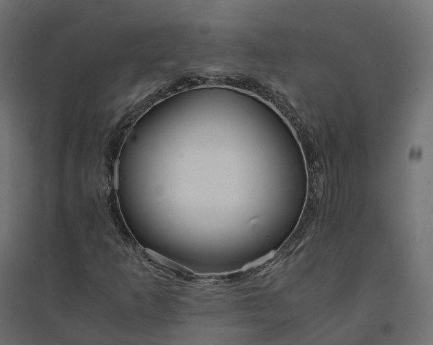 X0000094431253200711211425
