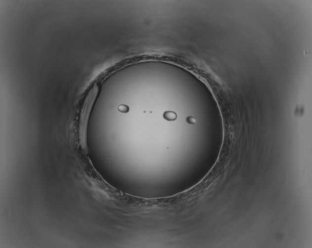 X0000094431256200711211425