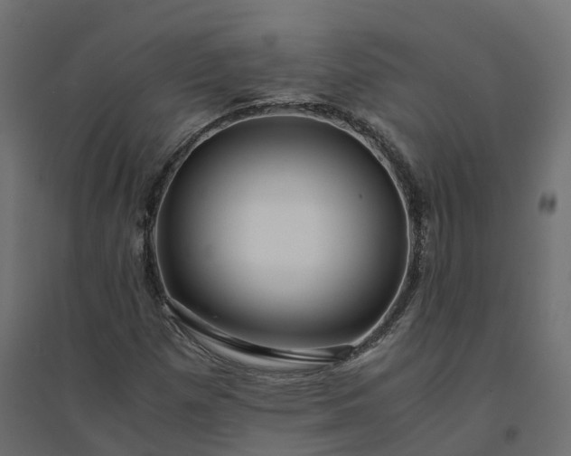 X0000094431257200711211425