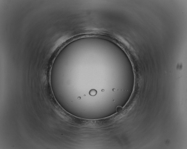 X0000094431259200711211425