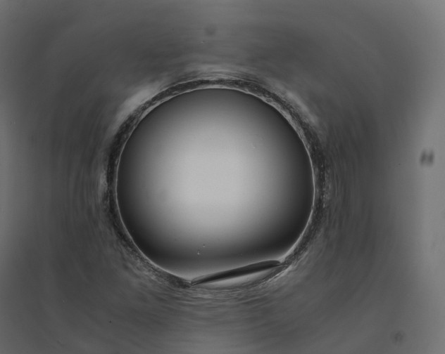X0000094431261200711211425