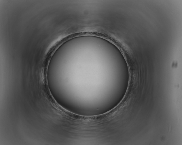X0000094431262200711211425