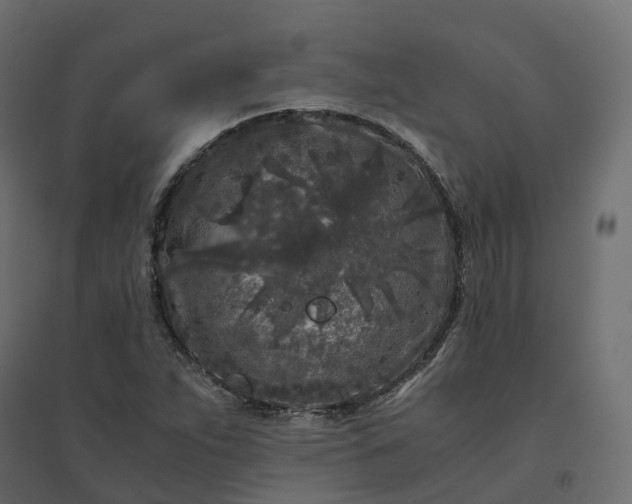 X0000094431263200711211425