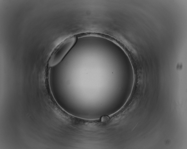 X0000094431264200711211425