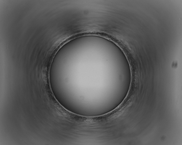X0000094431265200711211425