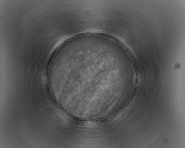 X0000094431266200711211425