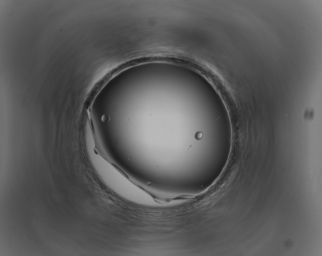 X0000094431267200711211425
