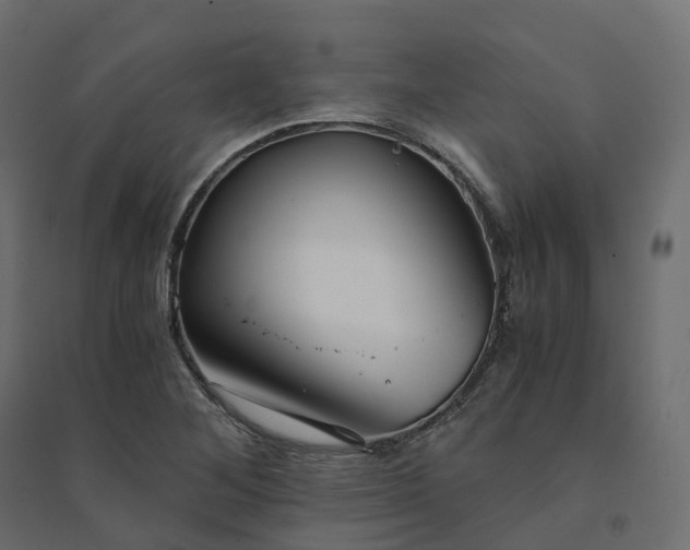 X0000094431268200711211425