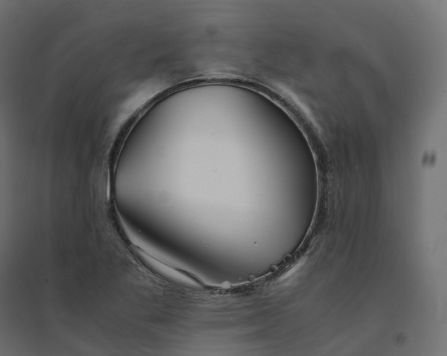 X0000094431269200711211425