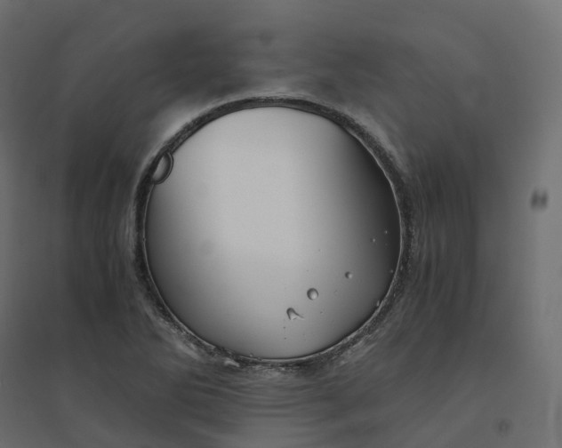 X0000094431270200711211425