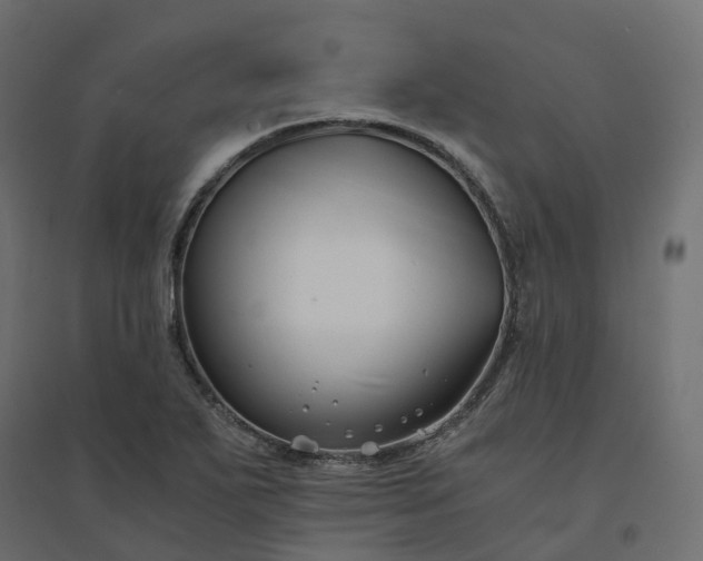 X0000094431271200711211424