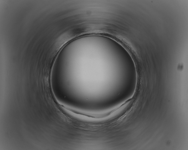 X0000094431273200711211424