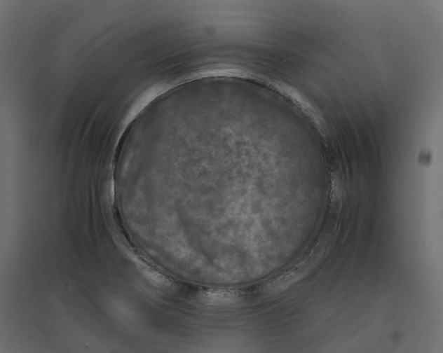 X0000094431274200711211424