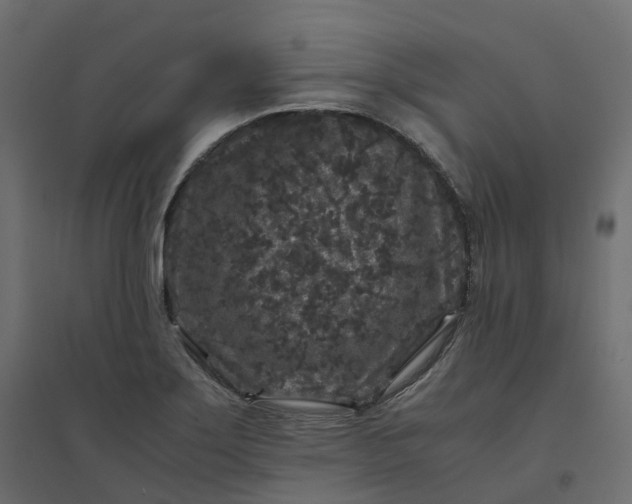 X0000094431275200711211424